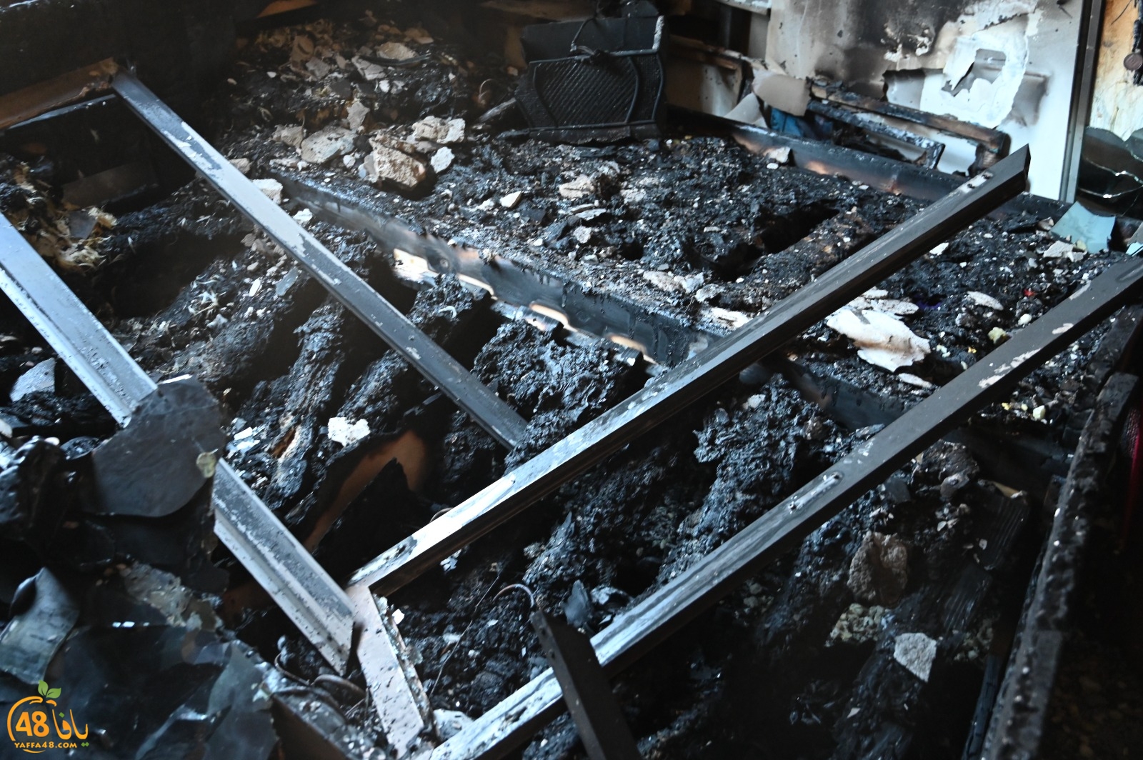 WhatsApp Image 2023-08-03 at 6.56.52 PM (2).jpg